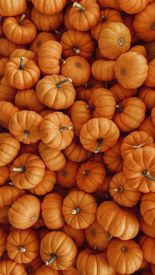 The Pumpkin Spice Appointment Everyone Waits All Year For